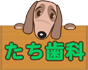 たち歯科 バナー